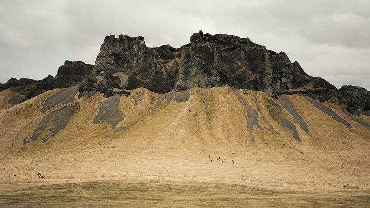 Helene Schmitz, Thinking Like a Mountain, 2017.