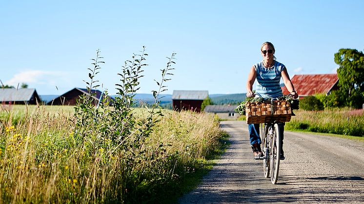 Det populära matevenemanget Järvsö Gårdstramp är tillbaka 12 augusti.