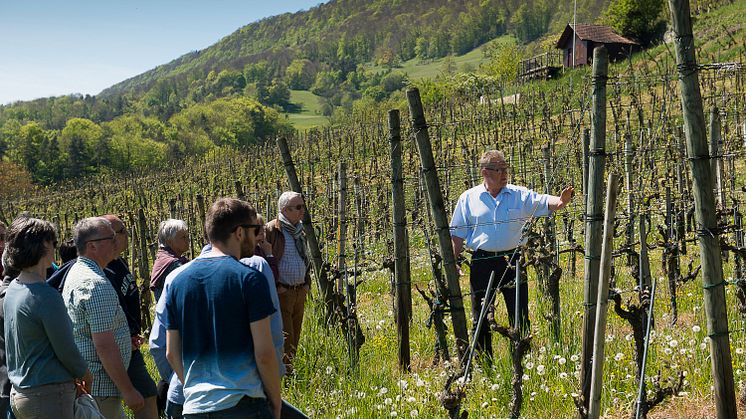 Tag der offenen Weinkeller in der Schweiz