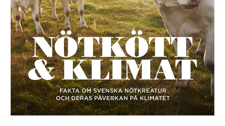 Nötkött och klimat - fakta om svenska nötkreatur och deras påverkan på klimatet.