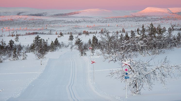 Lofsdalen utsedd till Bästa Fjälldestination