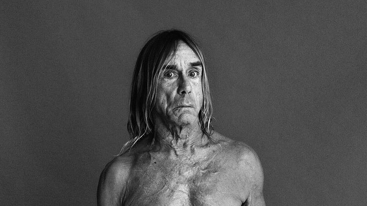 ​Iggy Pop and Deftones to play NorthSide