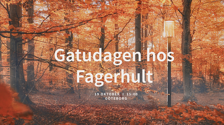 Gatudagen hos Fagerhult