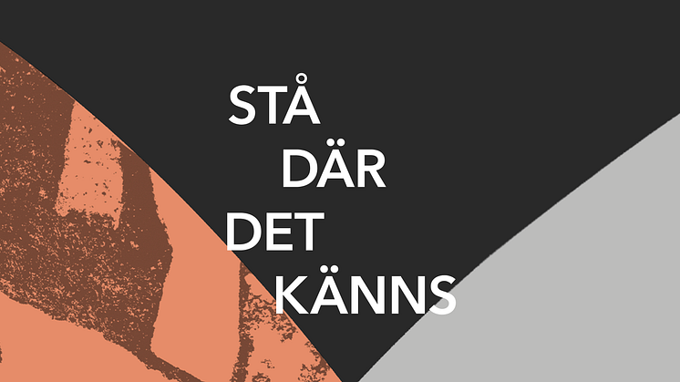 Höstens utställning i Botkyrka konsthall: Stå där det känns