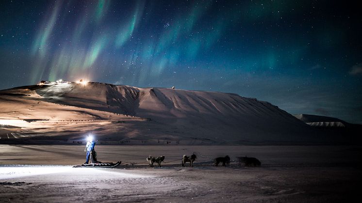 Dog sledding under the northern lights - an unforgettable adventure with Hurtigruten Svalbard.