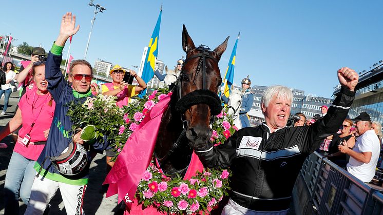 Ringostarr Treb vann både Olympiatravet och Elitloppet 2018. Foto: Micke Gustafsson TR/Bild