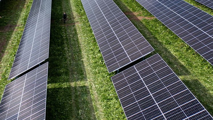 Pilotprojekt för fossilfritt och elektrifierat solparksunderhåll får statlig finansiering