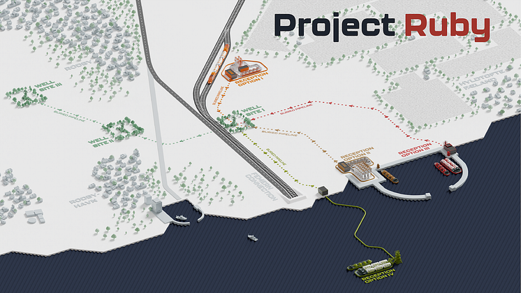 CarbonCuts kigger på flere metoder til at modtage CO₂ via tankskibe til Rødbyhavn, som f.eks. direkte levering til kaj, via specialbygget pram nær havnen eller på en bøjefortøjret pram uden for havnen. CO₂ kan også ankomme via tog eller lastbil. 