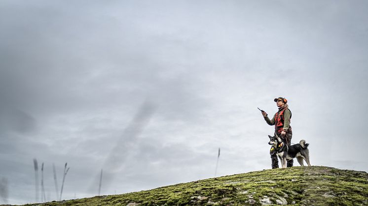 Garmin Alpha 200 uutuus koirapaikannin metsästykseen