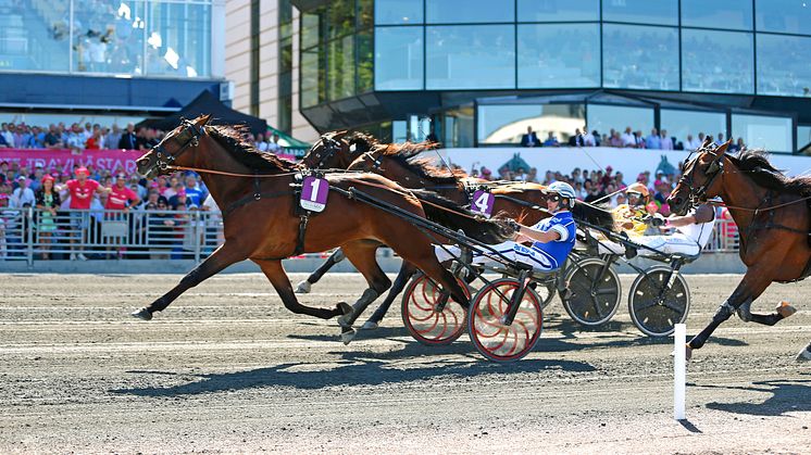 Global Withdrawl vinner Treåringseliten 2018. Foto: Maria Holmén, TR Bild