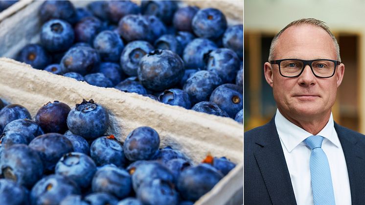 Livsmedelsföretagens nödrop till ministern: ”nådastöten för svenska bär”