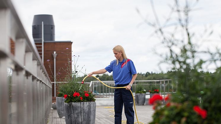 Sodexo inleder samarbete med stiftelsen Stora Sköndal