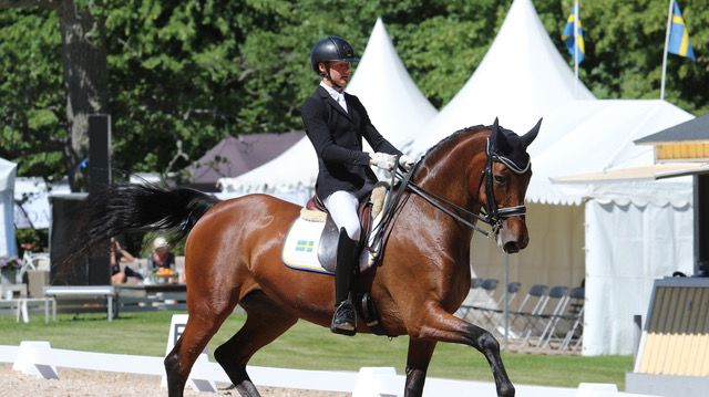 Ett av de duktiga svenska juniorekipage som kommer till Elmia Scandinavian Horse Show och har chans att delta i Landskampen i dressyr är Anton Tairi med hästen Chic, från Helsingborgs Fältrittklubb. Foto: Kim C Lundin.