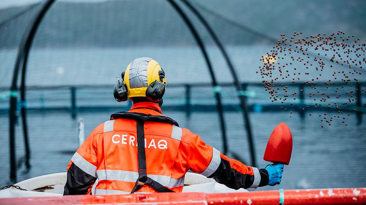 Cermaq forbereder overgang til ASC Multi Site-sertifisering av alle matfiskanleggene. (Foto: Cermaq)