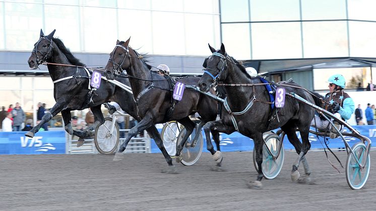 Fransk stjärnglans i Olympiatravet