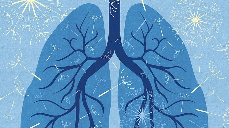 Illustration av astma ur Lungrapporten 2017