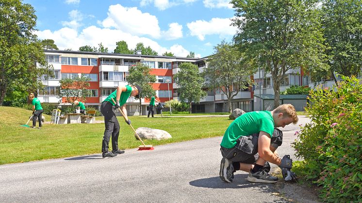 Willhem erbjuder sommarjobb som Minibovärdar   