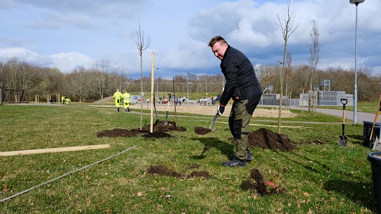 Anders Davidsson (M) ordförande i miljö- och tillståndsnämnden tog det första spadtaget. Foto: Caroline Benson, Ängelholmshem