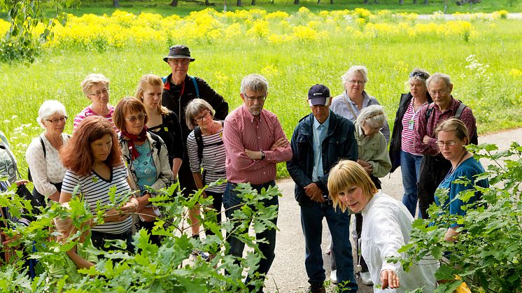 Sommarens vandringar med Naturhistoriska riksmuseet 