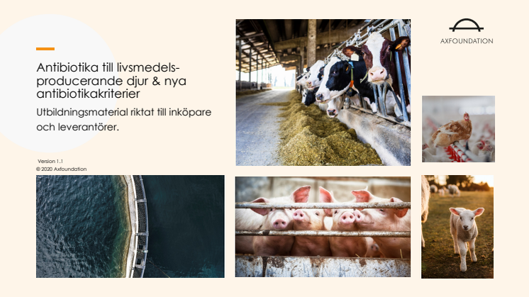Utbildningsmaterial Antibiotika till livsmedelsproducerande djur och nya antibiotikakriterier.pdf