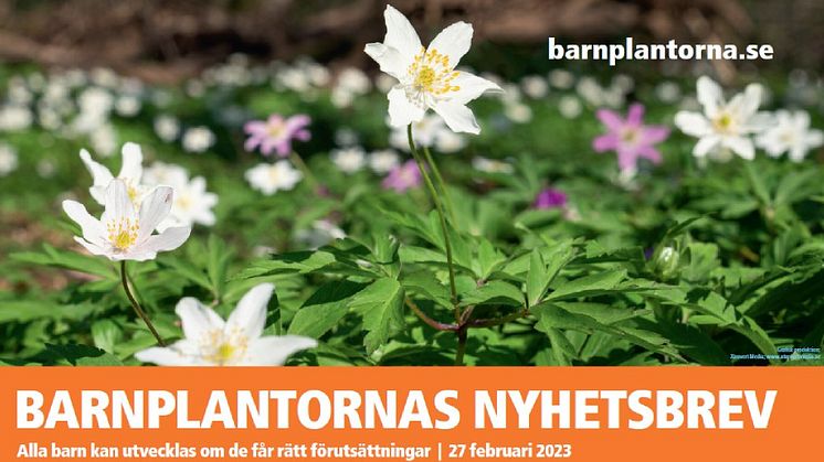 BARNPLANTORNAS NYHETSBREV den 23 februari 2023