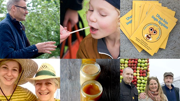 Skånska biodlare samlas på Kiviks musteri under Äppelmarknaden 29–30 september. 