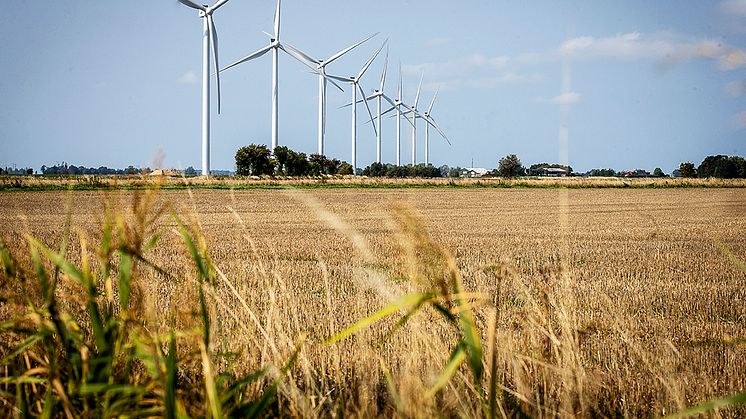 Billede fra dansk Living Lab, Ren Energi Lolland. Rødby Fjord vindmøller - Fotograf Ingrid Riis