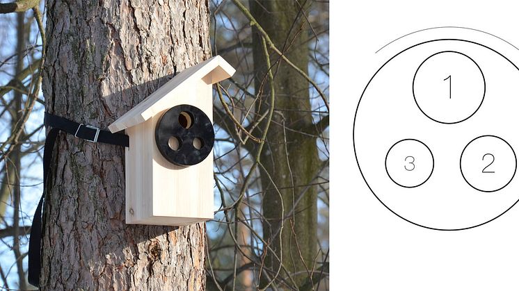 Fågelholken Birdbox