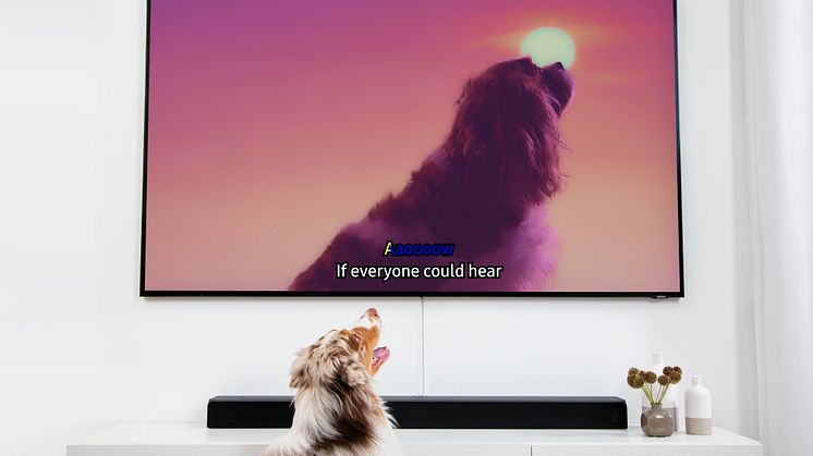 Dog Karaoke TV
