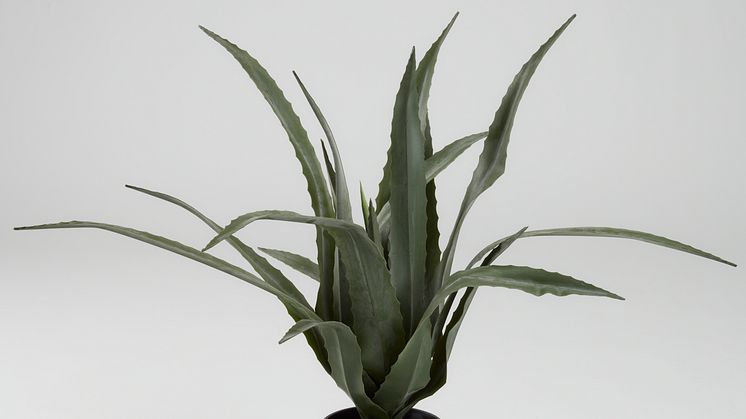 Kunstpflanze CELIUS, 65 cm