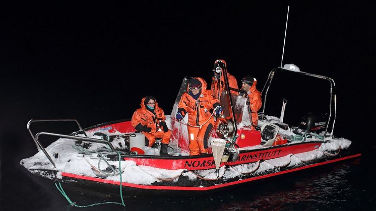 Sampling in the dark  (Photo credit: Jan Sivert Hauglid)