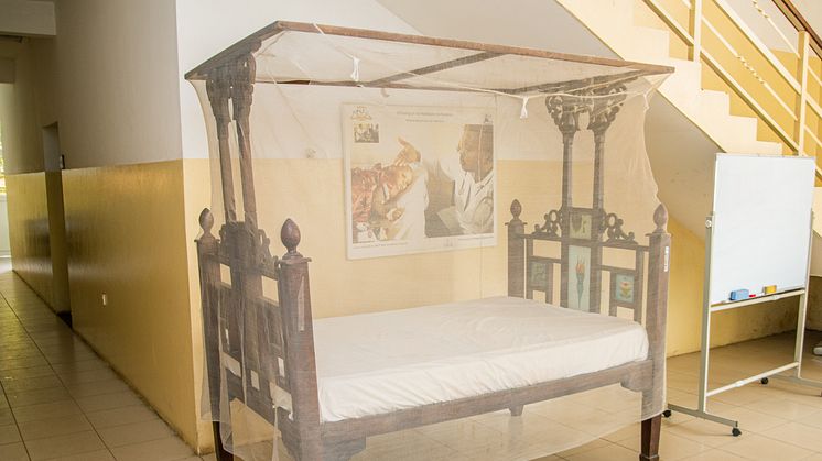 Bed with mosquito net