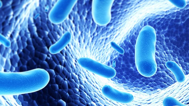 The importance of bacterial behavior