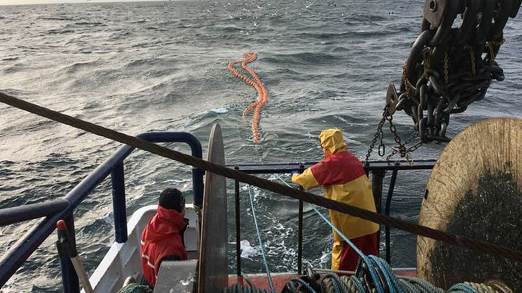 Test av så kallad byxtrål som separerar fångsten i olika kassar. Redskapsutveckling inom sekretariatet för selektivt fiske vid SLU. Foto: Hans Nilsson