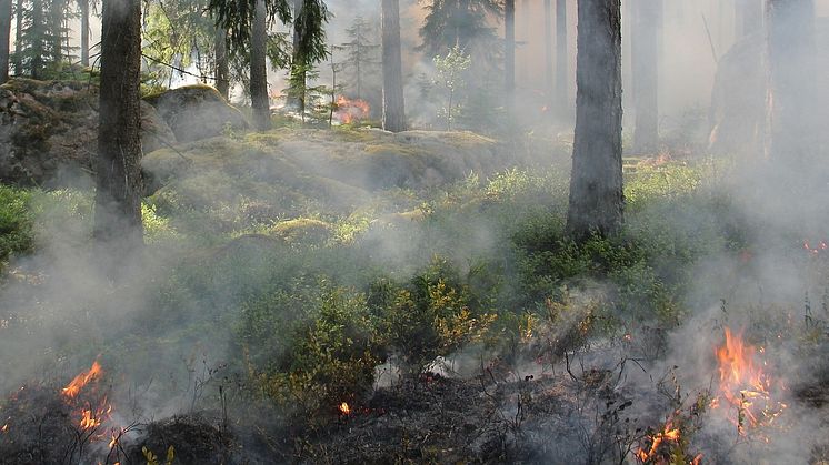 Det är din kommun som beslutar om eventuellt eldningsförbud.