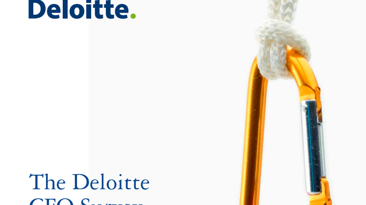 Tutkimusraportti: Deloitte CFO Survey, kevät 2012