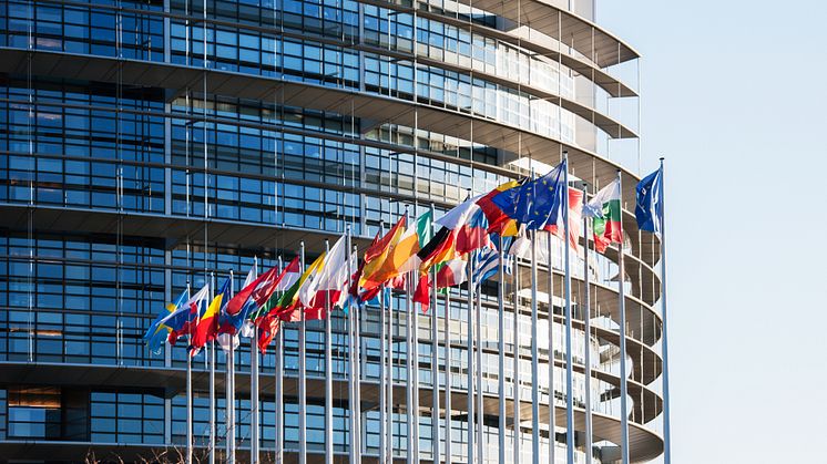 11831022-all-european-union-flags-in-front-of-parliament-eu.jpg