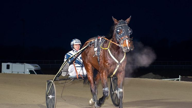 Som en blixt från – Glimåkra. Glimma Blixten är en av sex V75 från Jägersro i år. Foto: Mikael Rosenquist/MiRo Media.