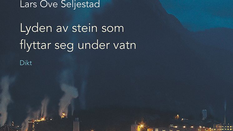 Boklansering: Lyden av stein som flyttar seg under vatn. Lars Ove Seljestad