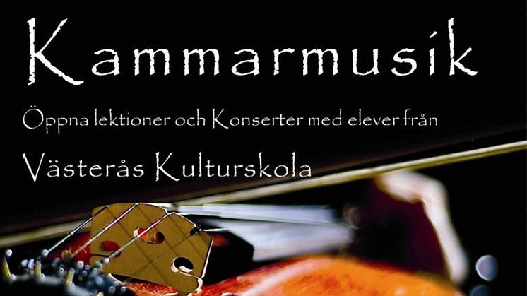 Kammarmusik med unga