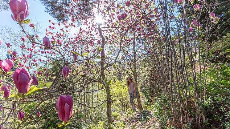 Parco botanico Vairano e Yoga (c) Ticino Turismo - Foto Alessio Pizzicannella