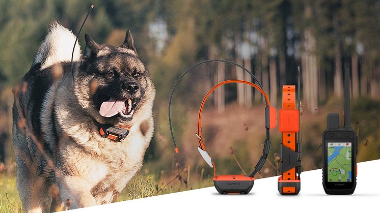 Nyt fra Garmin: Ny Alpha-serie af håndholdte enheder og hundehalsbånd