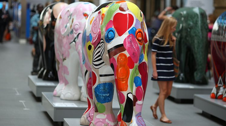 Artists and designers wanted for Elephant Parade statue!