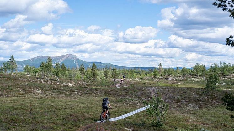 Stenrutsleden MTB - en av Lofsdalens senaste stigcyklingsleder