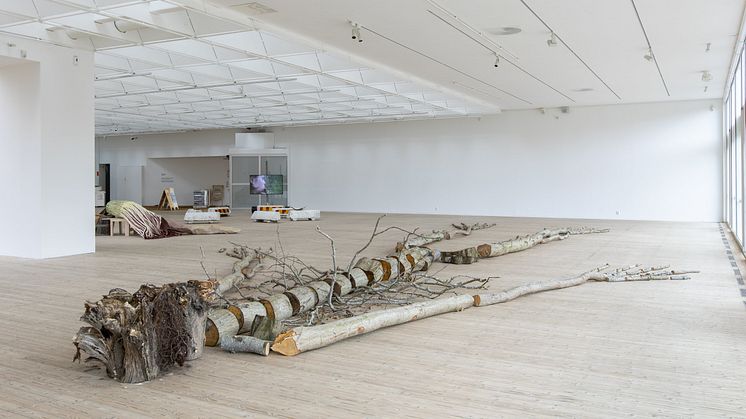 Ingela Ihrman, "Landskapet kom först" (2023). Installationsvy Malmö Konsthall. Foto: Helene Toresdotter