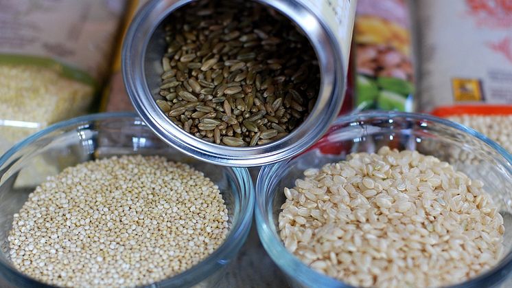 Den Ultimata Guiden till Veganskt Proteinpulver