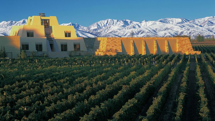 Exklusiva nyheter 1 mars: Eleganta och svala viner från Andernas vackra sluttningar