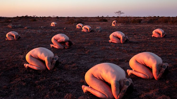 Foto: Hedda Tråcklare (Utan titel, 2019)