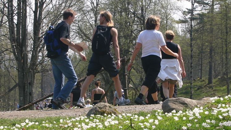 ​Idag öppnar anmälan till årets Linnémarschen