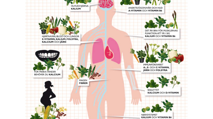 Findus dietist visar vägen bland vitaminer och mineraler - Få en piggare vår med Findus Grönsaksguide